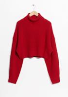 Other Stories Knit Turtleneck Sweater