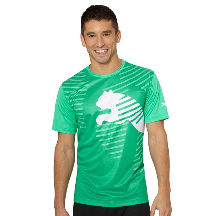 Puma Evotrg Graphic Top