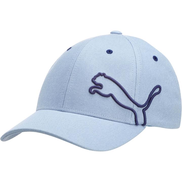 Puma Curve Brim Embroidery Cat Fitted Hat