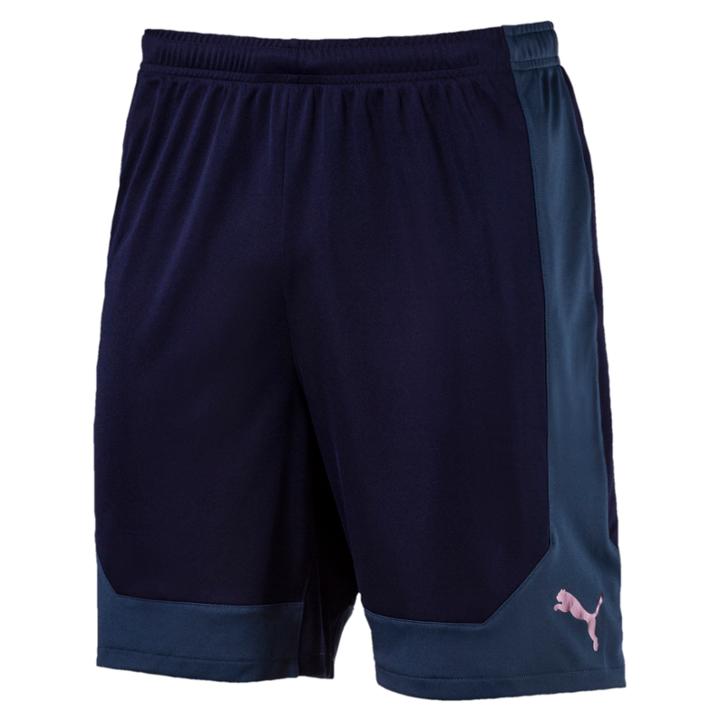 Puma Ftblnxt Men's Training Shorts