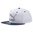 Puma Ls Colorblock Hat