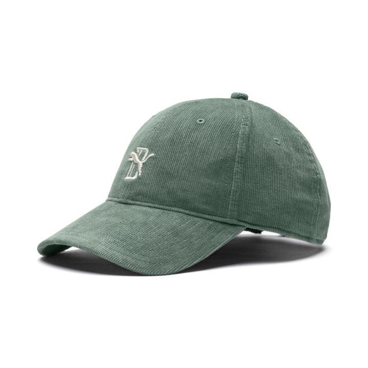 Puma X Big Sean Cap