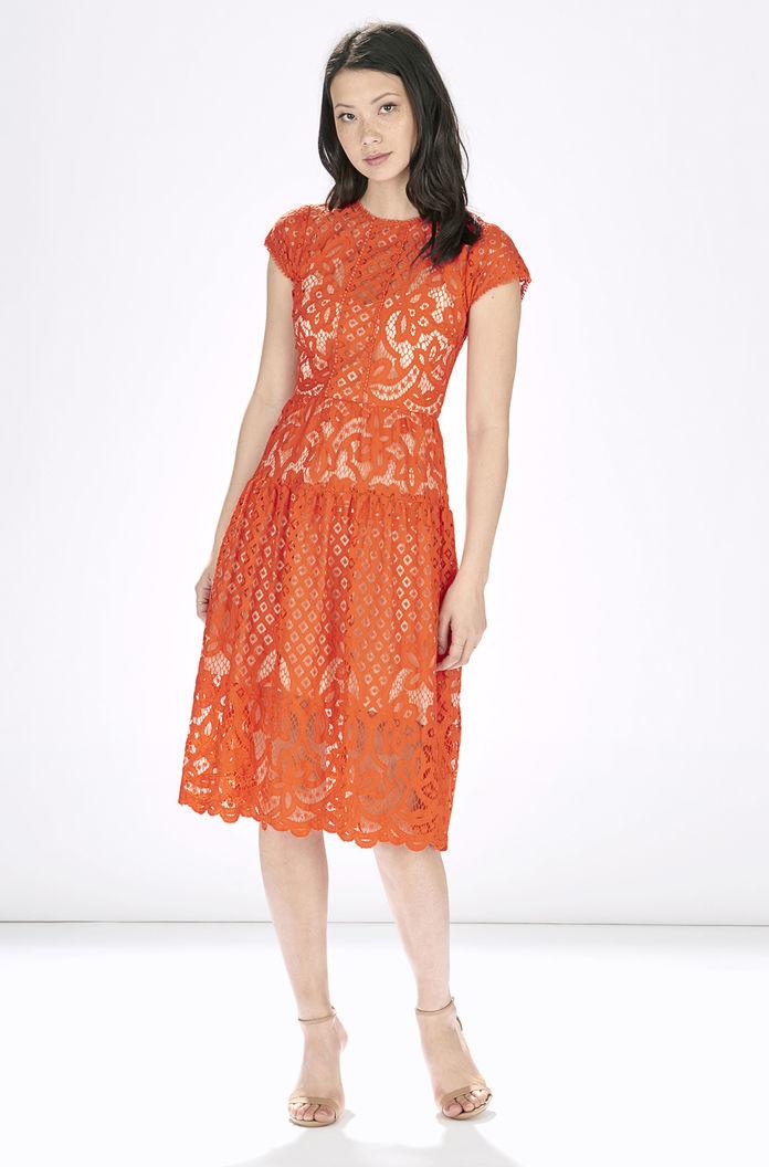 Parker Ny Talulah Dress M Flare