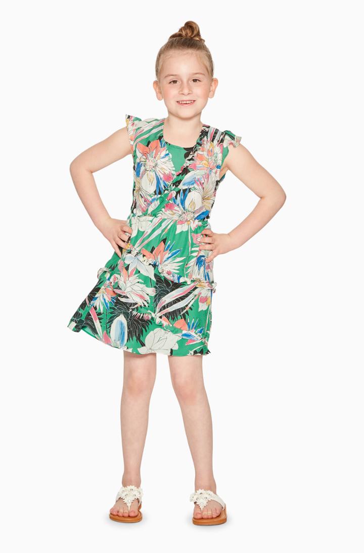 Parker Ny Mini Justice Dress
