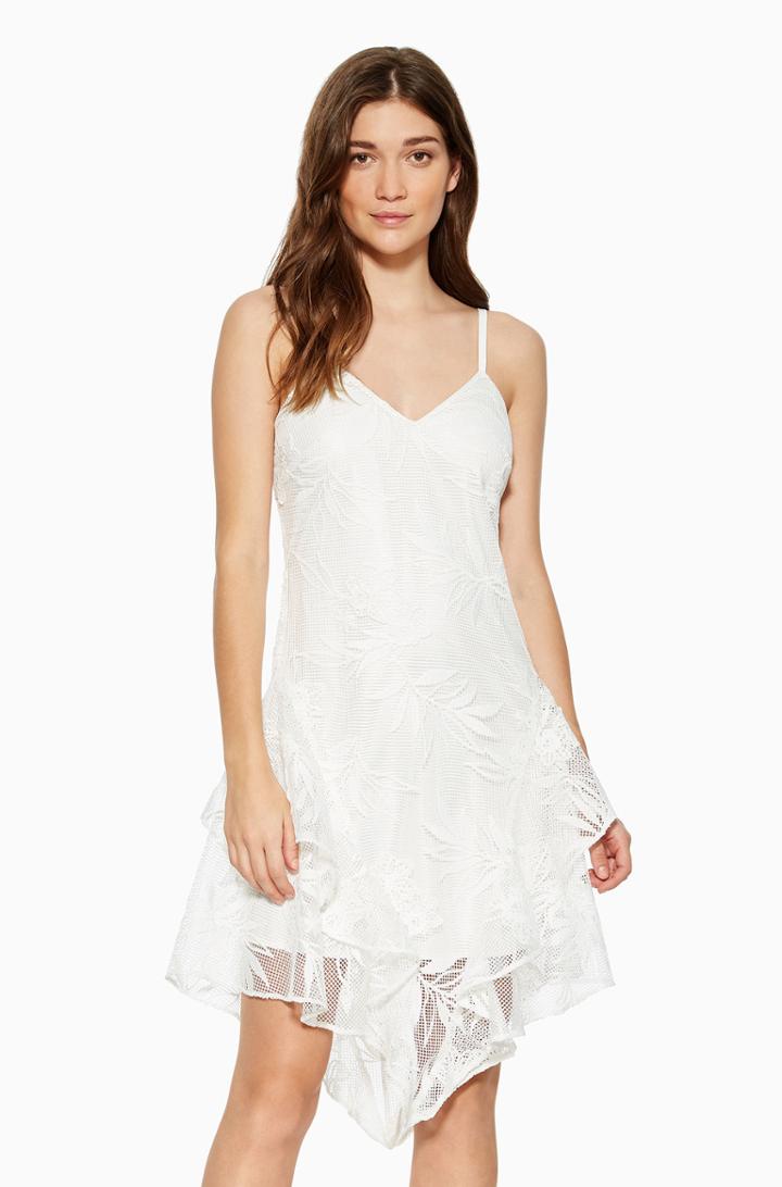 Parker Ny Louise Floral Lace Dress