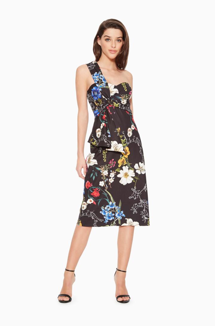 Parker Ny Kysha Floral Dress