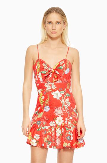 Parker Ny Dany Dress