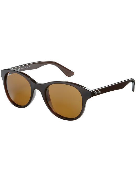 Ray-ban Round Sunglasses - Shiny Brown Frame
