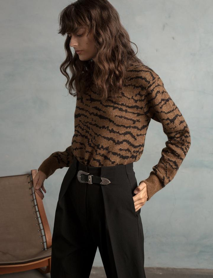 Pixie Market Zebra Stripe Sweater