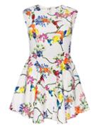 Pixie Market Floral Neoprene Dress