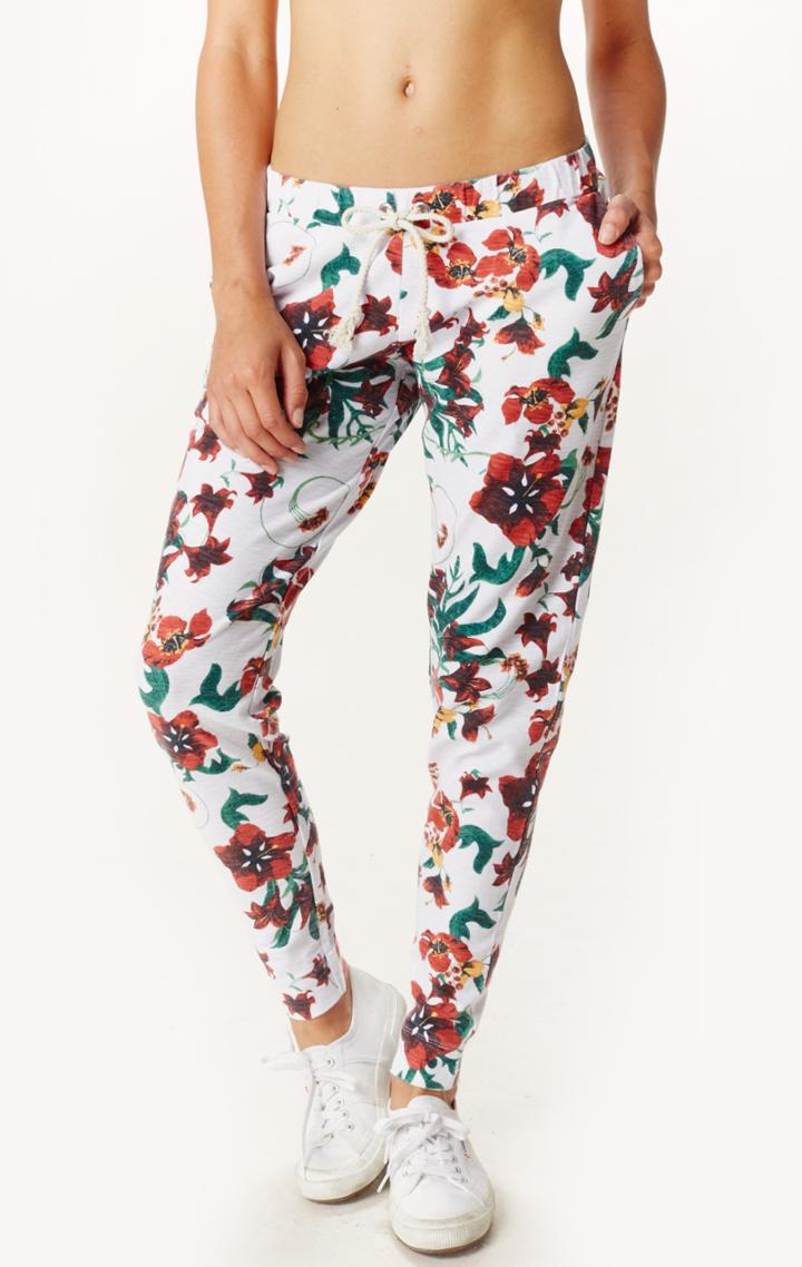 Planet Blue Vailea Pant