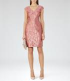 Reiss Nora - Womens Devore Dress In Pink, Size 6