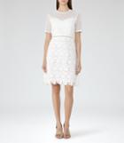 Reiss Heather - Lace Dress In White, Womens, Size 0