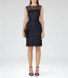 Reiss Kirsty - Womens Lace Dress In Blue, Size 6