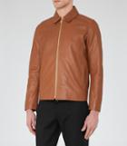 Reiss Dauphine - Collared Leather Jacket In Brown, Mens, Size Xs