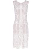 Reiss Rome - Womens Sleeveless Lace Dress In Cream, Size 4