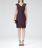 Reiss Otto - Womens Lace Bodycon Dress In Red, Size 4