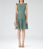Reiss Herrera - Womens Cap Sleeve Lace Dress In Green, Size 6