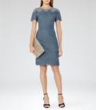 Reiss Floran - Womens Mesh And Lace Dress In Blue, Size 6