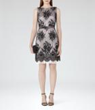 Reiss Eleonora - Womens Lace And Fringe Dress In Black, Size 4