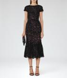 Reiss Erin - Womens Lace Midi Dress In Black, Size 6