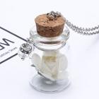 Romwe Glass Bottle With Flower Pendant Chain Necklace