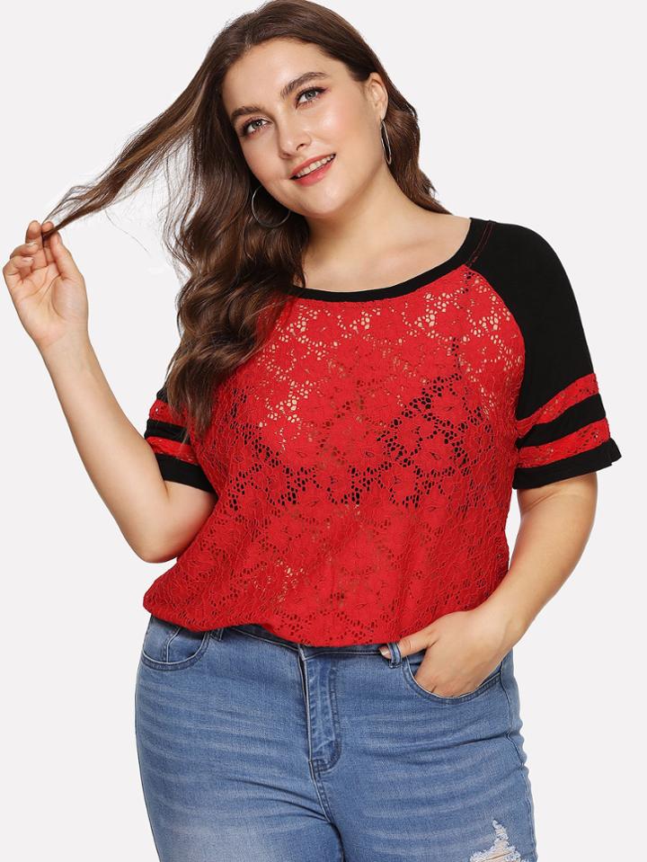 Romwe Lace Contrast Stripe Tee