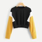 Romwe Colorblock Cut And Sew Panel Sweatshirt