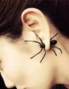 Romwe Black Spider Shape Stud Earrings