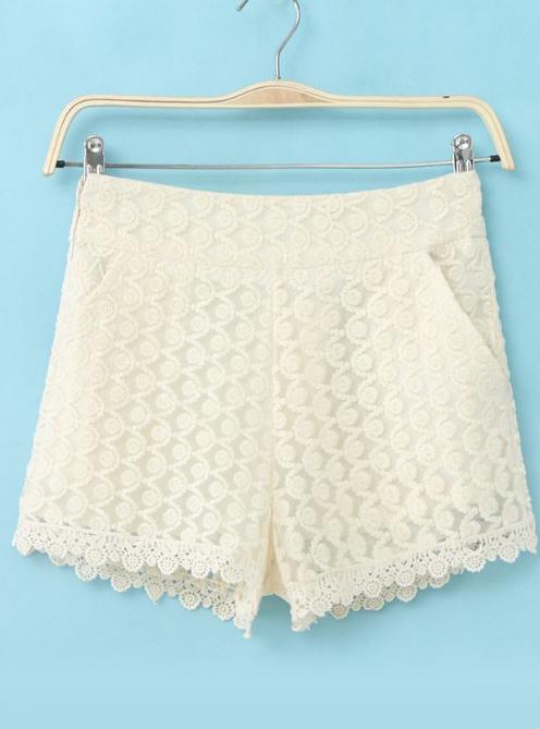 Romwe Embroidered Organza Lace Beige Shorts