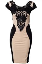 Romwe Skinny Lace Backless Bodycon Dress