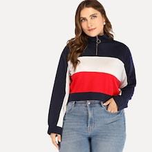 Romwe Plus Color Block Crop Sweatshirt