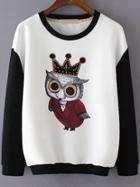 Romwe Colour-block Round Neck Owl Print Sweatshirt