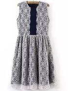 Romwe Contrast Lace Pleated Dress