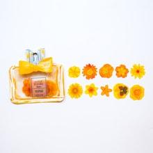 Romwe Perfume Bottle Design Decal 40pcs
