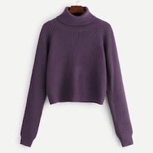 Romwe Roll Neck Raglan Sleeve Jumper