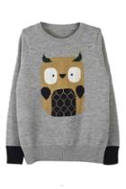 Romwe Romwe Owl Knitted Grey Jumper