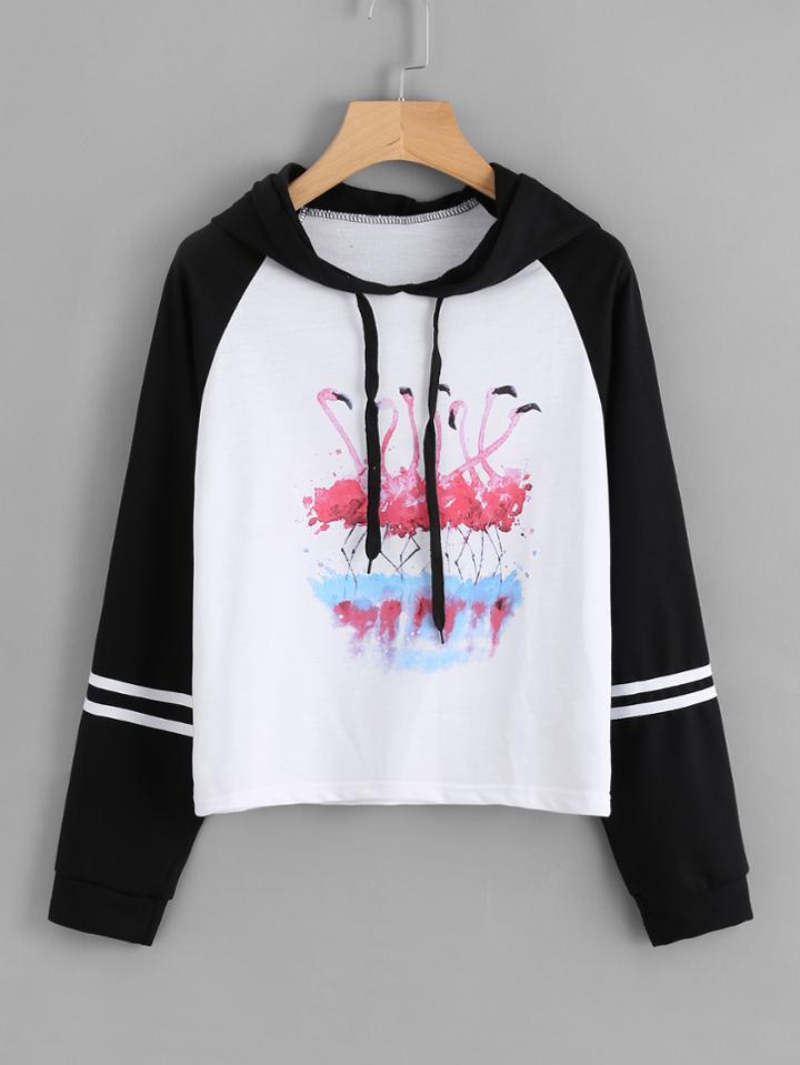 Romwe Contrast Raglan Sleeve Flamingo Print Hoodie