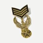 Romwe Men Eagle Design Medal Brooch