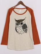 Romwe Long Sleeve Owl Print T-shirt