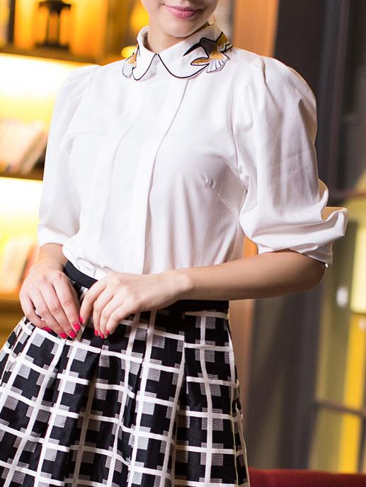 Romwe Doll Collar Bird Embroidered Chiffon Blouse