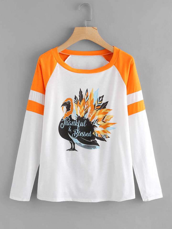 Romwe Peacock Print Contrast Panel Tee