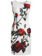Romwe White Round Neck Sleeveless Rose Print Dress
