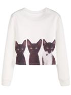 Romwe White Cat Print Long Sleeve Sweatshirt