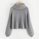 Romwe Plus Rolled Neck Raglan Sleeve Sweater
