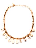 Romwe Gold Chain Cowrie Shell Necklace