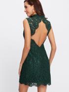 Romwe Open Back Floral Lace Dress
