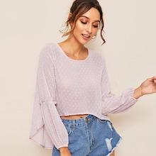 Romwe Ruffle Trim Dobby Mesh Solid Blouse