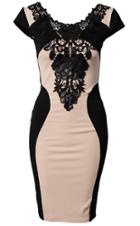 Romwe Contrast Lace Embroidery Bodycon Dress