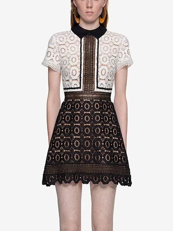 Romwe Contrast Collar Lace Embroidered A Line Dress